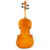 Best Violin for Beginners