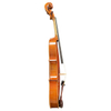 Professional Violin for Sale