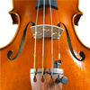 Handmade Professional Violin Musical Instrument