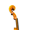 Best Violin for Professionals