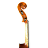 Intermediate Violin for Sale