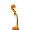 Beginner Viola for Sale