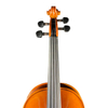 Violin for Beginner