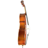 Best Beginner Cello for Sale