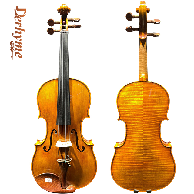 Best Violin for Professionals