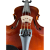 Intermediate Violin for Sale