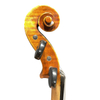 Violin for Advanced Players