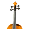 Best Violin for Beginners