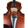 Vintage Violins for Sale