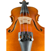 Best Violin for Beginners