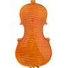 Professional Violin for Sale