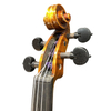 Violin for Advanced Players