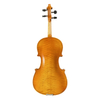 Beginner Viola for Sale