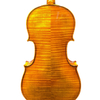 Best Violin for Professionals